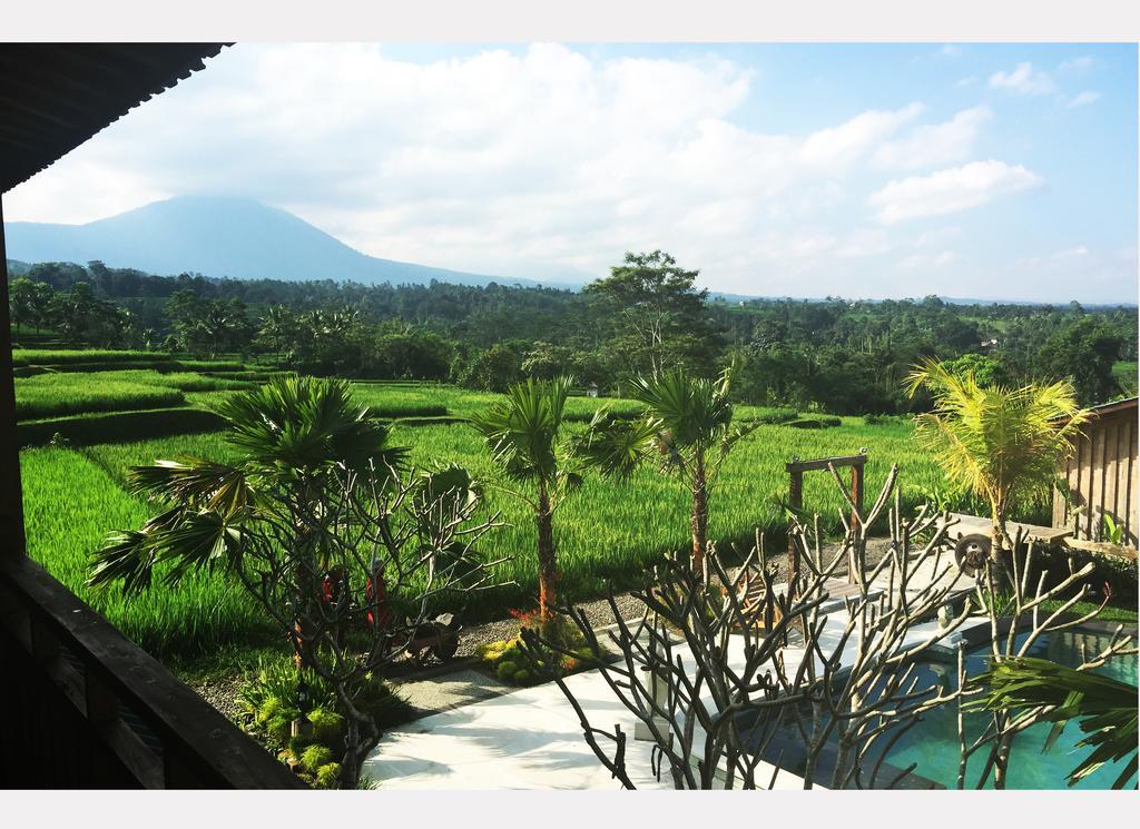 Ti Amo Bali Hotel Jatiluwih Bagian luar foto