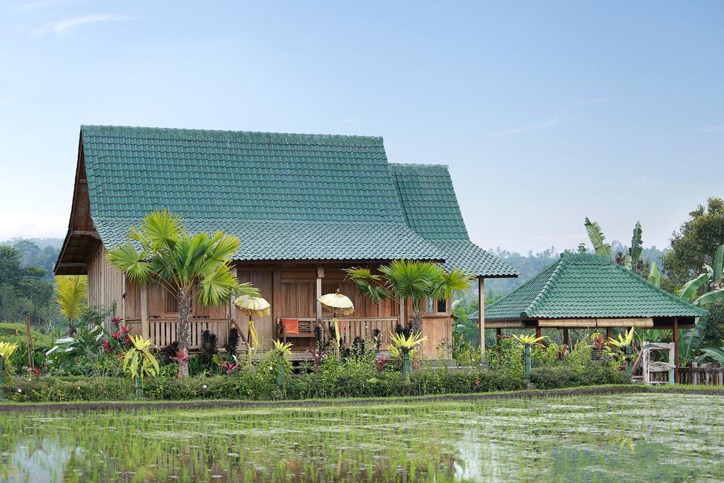 Ti Amo Bali Hotel Jatiluwih Bagian luar foto