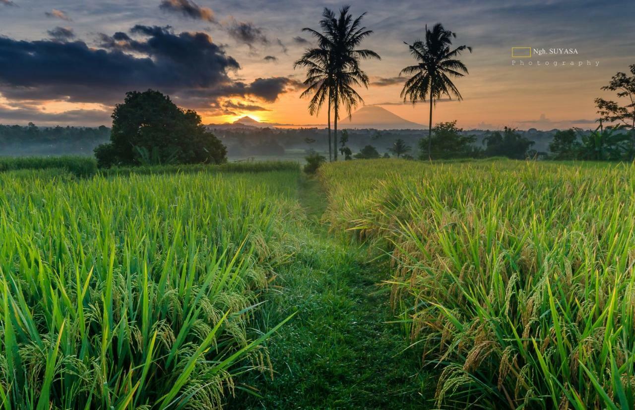 Ti Amo Bali Hotel Jatiluwih Bagian luar foto