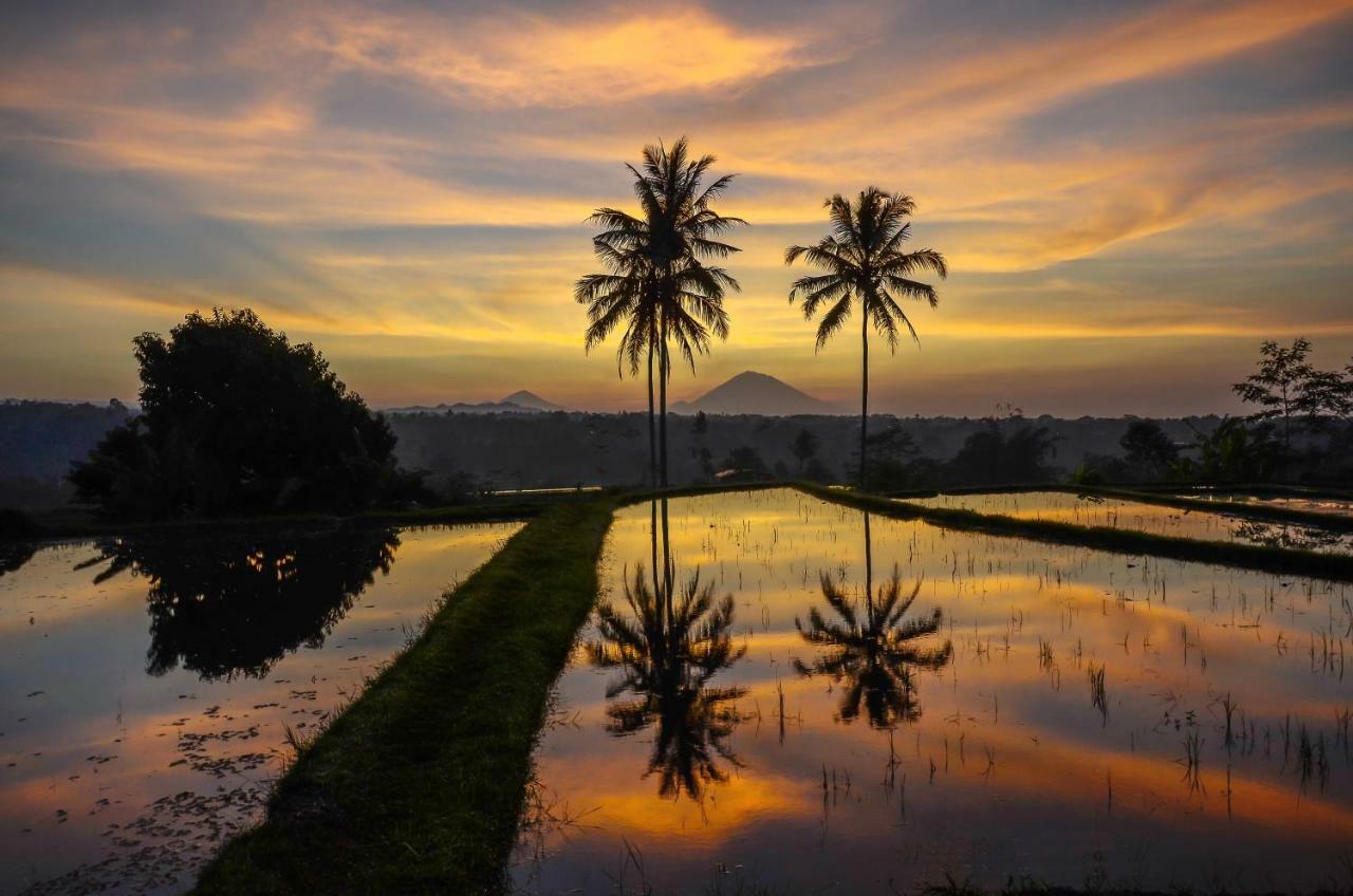 Ti Amo Bali Hotel Jatiluwih Bagian luar foto