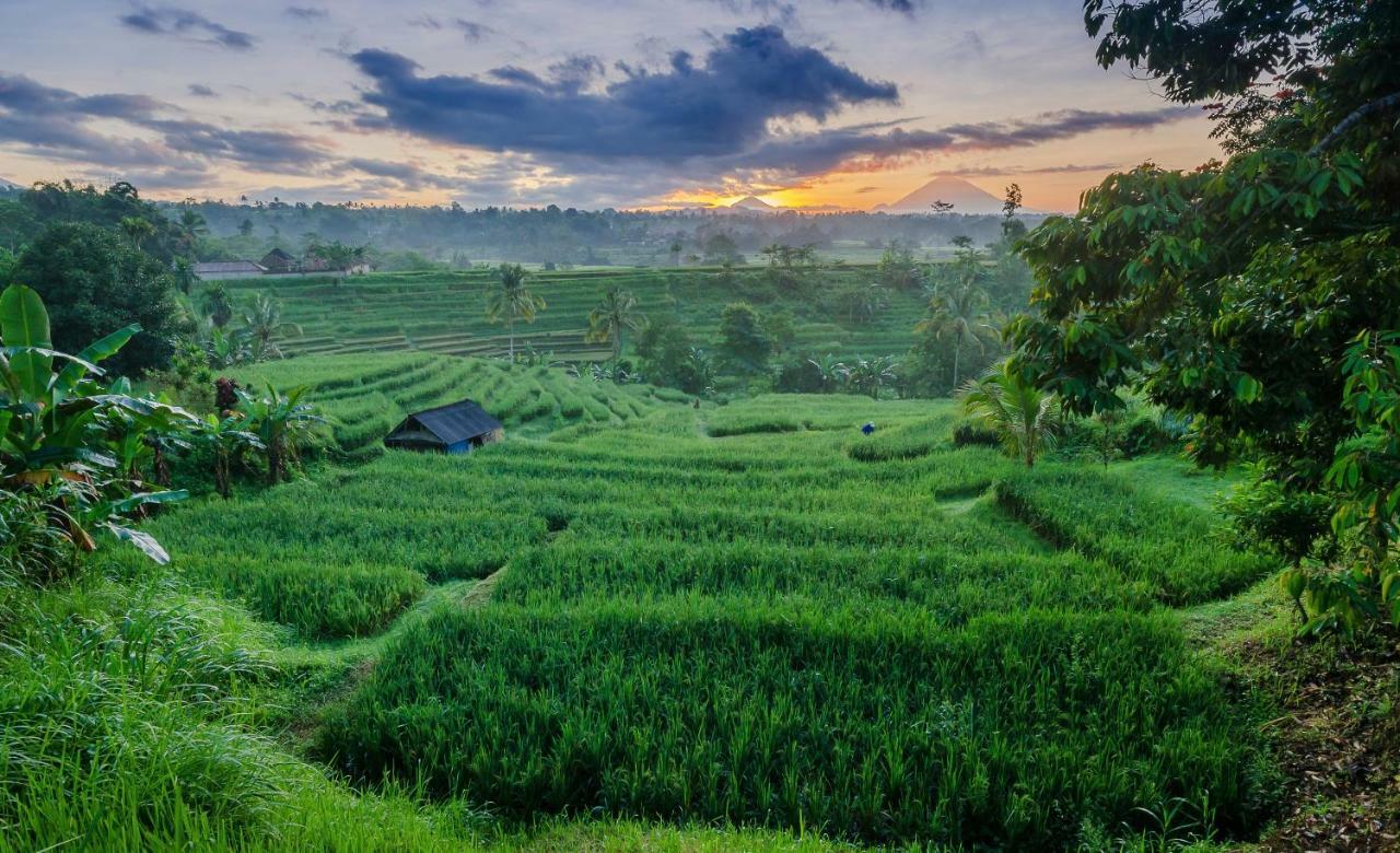 Ti Amo Bali Hotel Jatiluwih Bagian luar foto