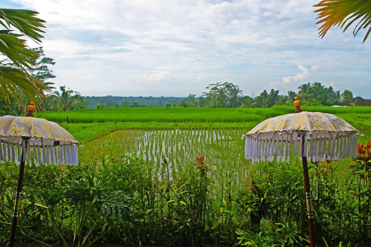 Ti Amo Bali Hotel Jatiluwih Bagian luar foto